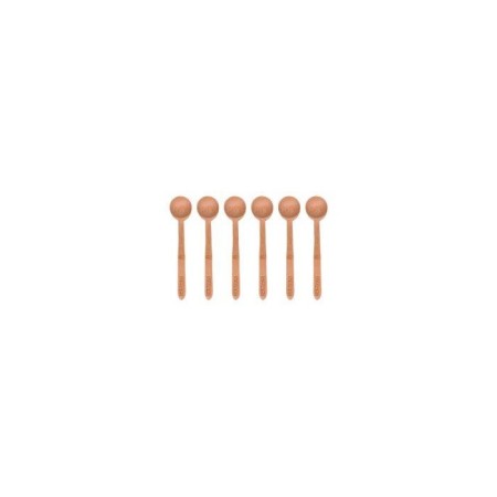 Bambum Lolli 6 Parça Çay Kaşık B2893